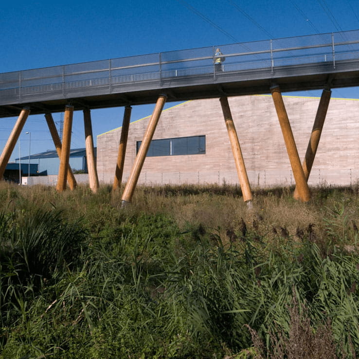 Pedestrian bridge with steel deck supported on timber columns over the marshland.