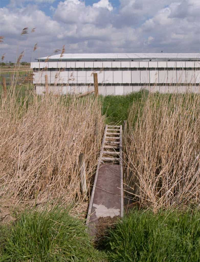 New stable building with reed-filled ditch in foreground.