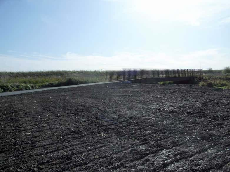 Newly installed bridge and access path set within the marsh landscape.