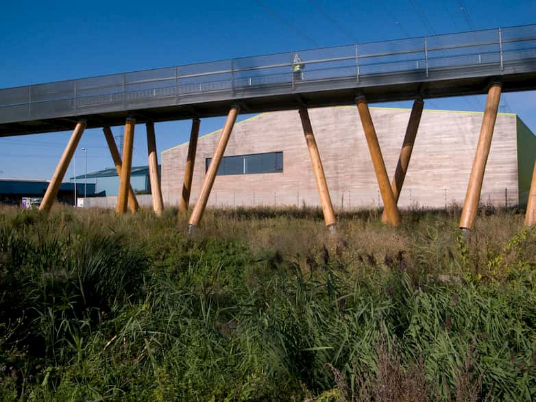 Pedestrian bridge with steel deck supported on timber columns over the marshland.